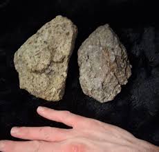 Chondrite and lunar meteorites found in backyard