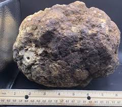 Fossilized Indiana Geode Quartz Crystal Whole 16 Lb Agate ...