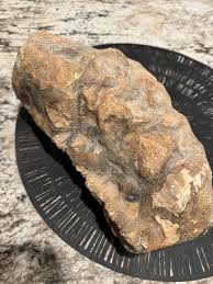 Heavy strange rock with lumps and bone? - Fossil ID - The ...
