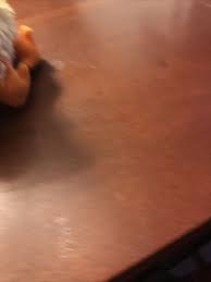 TY Beanie Baby - CHICKIE the Chick (5 inch) - MWMT's Stuffed ...