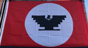 What flag is this? I saw it at the fair the guy running it ...