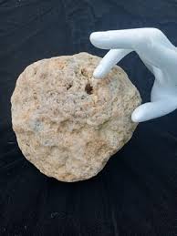 Rare 6" Kentucky Geode Unopened Natural Raw Specimen | eBay