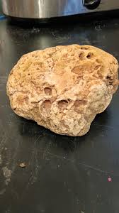 Found in New Mexico. : r/whatsthisrock