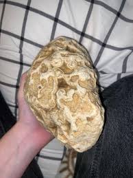 geode?? : r/whatsthisrock