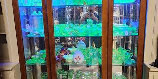 Explore Our Online Antique Store for Unique Treasures