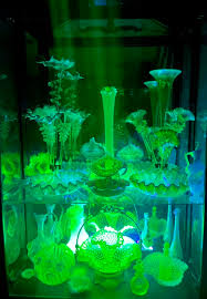 Victorian Uranium Glass Collection and Care