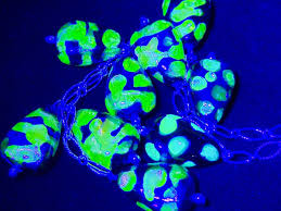 Sterling Foil Bead Uranium Glass Necklace Antique Czech Handmade Lampwork Yellow | eBay