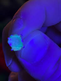 Does anyone know what this is? : r/Rocks