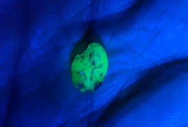 I have this thing that's glowing like a blue pink purple kind of thing In my glade water And I can't fish it out Does anybody know what it is?🤔 | Facebook