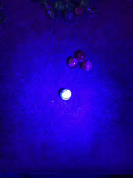 What is a Peltier marble worth?