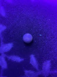 What is the glowing pink line around this object under UV light?