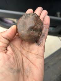 Anyone know what this is? : r/StLouis