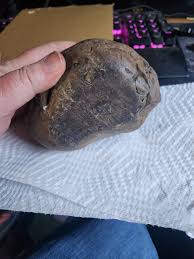 Is it a fossil? Looks like a brain. - Fossil ID - The Fossil ...