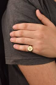 14K Gold Pegasus Signet Ring, Mythical Horse Charm, Greek Mythology Amulet, Flying Horse Pinky Ring, Personalized Greek Gift, Gift for Her - Etsy