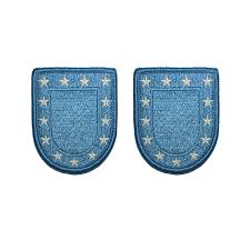 Army Beret with Stars Flash Patch