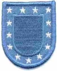 US Army Beret Flash - Saunders Military Insignia