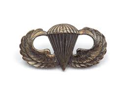 Original Vietnam War US Army Paratrooper Silver-Filled Jump ...