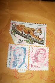 Vintage 90s Pierce Racing Michael Waltrip Pennzoil Pontiac ...