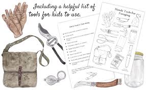 Foraging Log: A Foraging Log for Kids: Cantrell, Alice M: 9798736134458: Amazon.com: Books