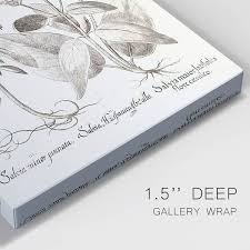 Sepia Besler Botanicals III Premium Gallery Wrapped Canvas ...