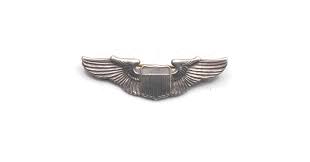 Vintage WWII United States Army Air Force Pilot Wings ...
