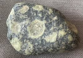 Is this rock a variolite or porphyritic rock found in ...