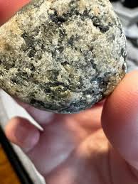 Found on Lake Ontario shore in Rondeau Park. Curious what ...