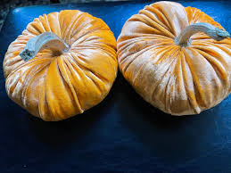 Orange Velvet Pumpkins With Real Stems - Etsy