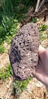 These are really red when wet, the entire beach was red ...