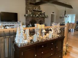 It's beginning to look like Christmas at our house.