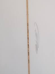 Fatum Giant Fish 6'1" Purple with Green Rail – Fatum Warehouse