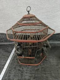Vintage Halloween Prop Bird In Cage Decor Hanging Handmade Custom | eBay