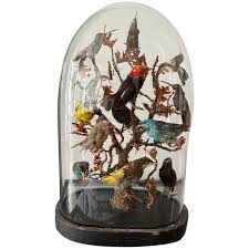 Magnificent antique globe with a real taxidermy bird tree, from . For Sale at Ruby Lane