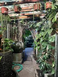 My first experience at a nursery and not a big box store ...