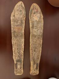 Fossil. Fish in Matrix. Earlier Cretaceous. - Etsy