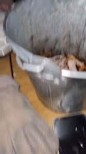 Honestly, this bloke's having a bad time. We recommend NOT ...