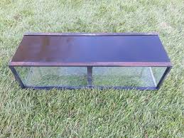 40 gallon puffer tank | Aquarium Advice Forum Community