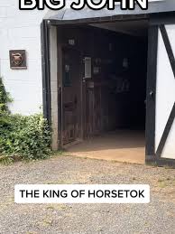 How to Retrieve Your Owned Horses with John | TikTok