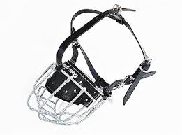 Amazon.com: Bozal de perro con cesta de alambre de metal fuerte para American Bully, Bully XL (B3, manchado) : Productos para Animales