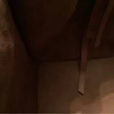 Celine | Bags | Celine Phantom Handbag In Luggage Tan Leather | Poshmark