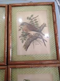 PH Gonner vintage framed bird pictures | eBay