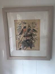 Vintage Arthur Singer Turdus Migratorius Robin Bird Framed Under Glass Print | eBay