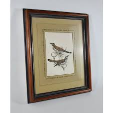 Joseph Smit, Sulawesi Cuckoos, Hand Colored Lithograph, C. 1872 | Chairish