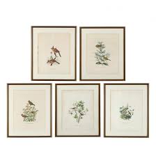 Daniel G. Elliot (American, 1835-1915), Five Plates from New and Heretofore Unfigured Species of the Birds of North America (Lot 1269 - July Estate AuctionJul 18, 2024, 10:00am)