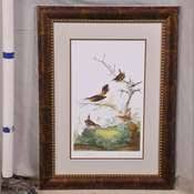 Framed print "Winter Wren and Rock Wren" by John J. Audubon; 975-638 - R.H. Lee & Co. Auctioneers
