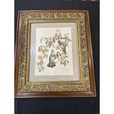 Cecil Golding Bird - Etsy