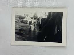 Navy Sailor Washing Dog On Ship USS Bagaduce B&W Photograph ...