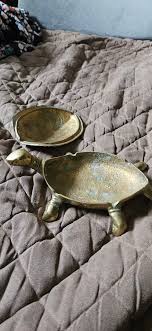 Thrifting find: porcelain turtle trinket in Keyser, WV
