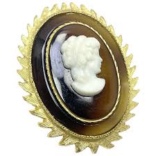 Vintage Brown Cameo Brooch Pin. For Sale at Ruby Lane