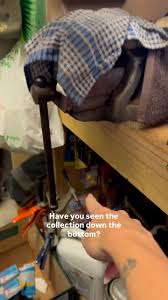 Exploring Dad's Garage: A Treasure Trove of Surprises